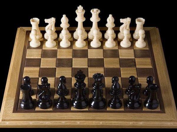 حامدی نیا: حمایتی از شطرنج بازان صورت نمی گیرد