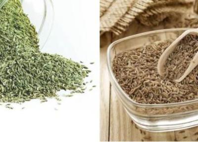 همه چیز درباره زیره